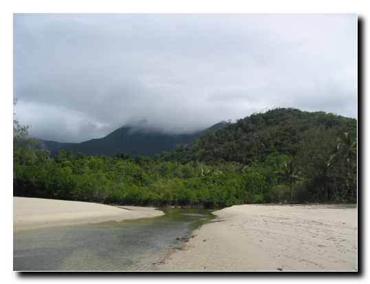 025 Beach and Rainforest Walk